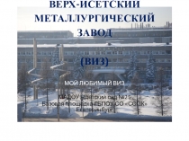 Презентация проекта Мой любимый ВИЗ