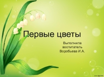 Презентация по ознакомлению с природой на тему Первые цветы