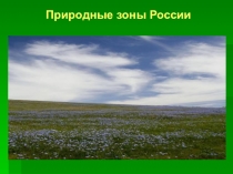 Презентация по окружающему миру на тему Природные зоны. Пустыня 4 класс