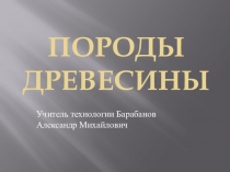 Презентация по технологии на тему : Породы древесины