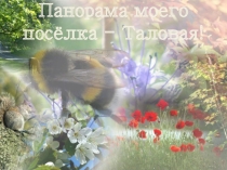 Презентация по географии Панорама моего поселка(10 класс)