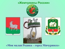 Мичуринск - моя малая Родина