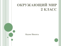 Презентация по окружающему миру на тему: Какие бывают животные ( 2 класс). Автор Кадов Никита