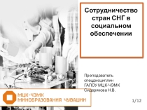 Презентация по праву социального обеспечения Сотрудничество стран СНГ в социальном обеспечении