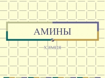 Амины. Материалы к уроку. 2009 год