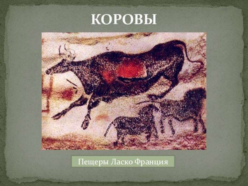 Презентация по МХК Первобытное искусство КОРОВЫПещеры Ласко Франция КОРОВЫПещеры Ласко Франция