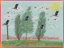 Өзін-өзі тану пәнінен Құстар-біздің досымыз ашық сабағы