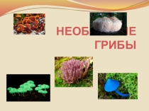 Презентация к уроку окружающего мира Необычные грибы