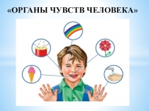 Презентация к открытому уроку по окружающему миру Органы чувств