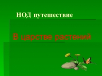 Путешествие в царство растений