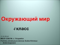 Презентация и конспект урока Леса России по окружающему миру 4 класс УМК Школа России