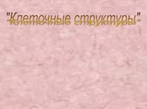 Презентация по биологииКлеточные структуры
