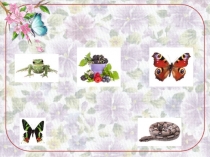 Интерактивная игра для 3 класса на тему Земля – наш общий дом