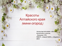 Презентация по внеурочной деятельности на тему Полезное для здоровья