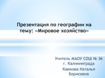 Презентация по географии на тему Мировое хозяйство (10 класс)