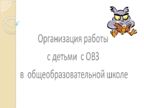 Организация работы с детьми с ОВЗ
