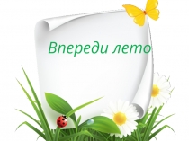 Презентация урока окружающего мира Впереди лето