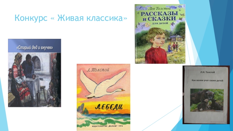 Презентация к Всероссийскому конкурсу чтецов Живая классика (школьный этап 2016 год) Конкурс « Живая классика» Конкурс « Живая классика»