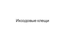 Презентация по паразитологии на тему: Иксодовые клещи
