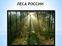 Презентация по окружающему миру на тему: Зона лесов для начальной школы