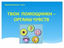 Презентация по окружающему миру на тему:Твои помощники - органы чувств (1 класс)