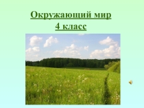 Презентация по окружающему миру на тему  Луг ( 4 класс)