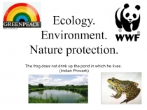 Презентация по английскому языку на тему Ecology (10 класс)