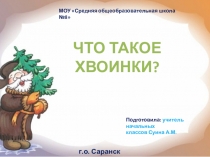 Презентация по окружающему миру Что такое хвоинки?