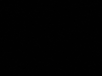 Презентация по литературному чтению на тему: В. В. Бианки Мышонок Пик (2 класс)