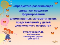 Предметно-развивающая среда как средство формирования элементарных математических представлений у детей дошкольного возраста