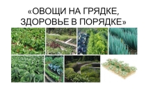 Проект ОВОЩИ НА ГРЯДКЕ, ЗДОРОВЬЕ В ПОРЯДКЕ!