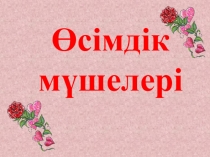 Дүниетану пәнінен Өсімдік мүшелері тақырыбына презентация (1 сынып)