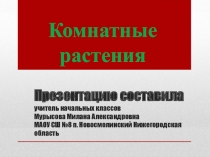 Презентация по технологии Комнатные растения (2 класс)