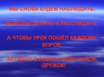 Презентация по русскому языку на тему Имя существительное (2 класс)
