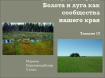 Презентация к курсу Морянка Болота и луга