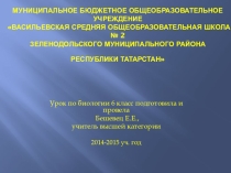 Презентация по биологии на тему Координация и регуляция (6 класс)