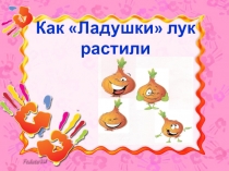 Презентация Как мы лук растили