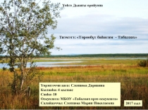 Презентация по окружающему миру Торообут биьигим - Табалаах