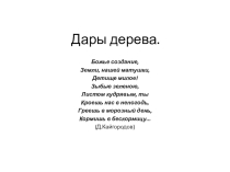 Презентация по теме: Значение деревьев в жизни человека