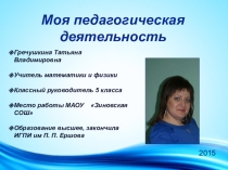 Презентация Моя педагогическая деятельность