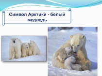 Презентация Символ Арктики - белый медведь