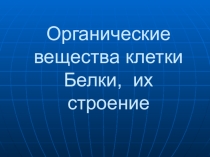 Белок