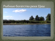 Презентация Рыбные богатства реки Цны