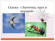 Презентация сказка Ласточка, паук и муравей (1 класс)