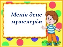 Дене мүшелер қазақ тілі