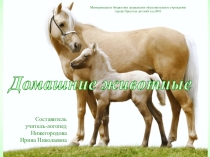 Презентация Домашние животные и их детёныши