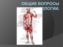Общие вопросы миологии