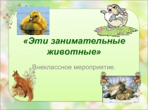 Презентация Эти занимательные животные