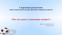 Презентация спортивного развлечения на тему Что мы знаем о зимующих птицах?