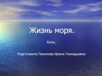Жизнь моря. Киты.